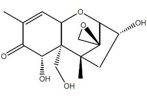 Antigen structure: Deoxynivalenol (DON) (Deoxynivalenol Antikörper)