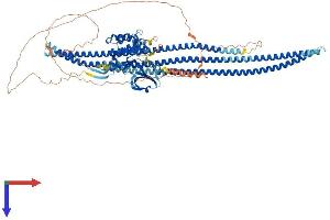 STK10-A Protein (AA 1-968) (His tag)
