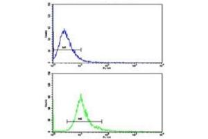Flow Cytometry (FACS) image for anti-Dicarbonyl/L-Xylulose Reductase (DCXR) (AA 79-106) antibody (ABIN3028614)