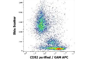 Flow cytometry surface staining pattern of human peripheral whole blood stained using anti-human CD52 (4C8) purified antibody (concentration in sample 0,6 μg/mL, GAM APC). (CD52 Antikörper)