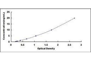 Lipophilin B, Prostatein Like (LIPB) ELISA Kit