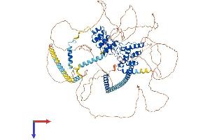 PPP1R12A Protein (AA 1-1029) (His tag)
