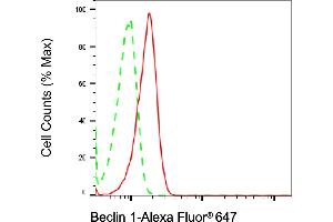 Flow cytometric analysis of Beclin 1 expression in HeLa cells using Beclin 1 antibody (ABIN7797761), 1:2,000).