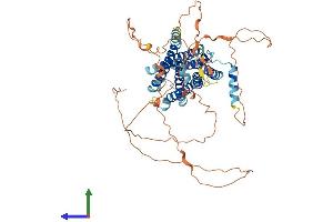 Protein Structure (PS) image for G Protein-Coupled Receptor 162 (GPR162) (AA 1-588) protein (His tag) (ABIN7548054)