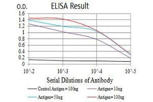 ELISA image for anti-Purinergic Receptor P2Y, G-Protein Coupled, 8 (P2RY8) antibody (ABIN5611348)