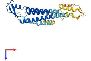 GJB5 Protein (AA 1-271) (His tag)