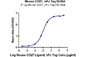 ELISA image for CD27 Molecule (CD27) (AA 24-182) protein (mFc Tag) (ABIN7274123)