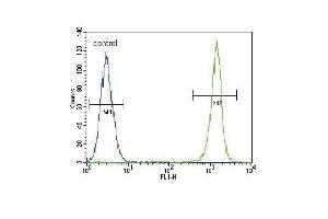 ACTA1 Antibody (ABIN1536597 and ABIN2843809) flow cytometric analysis of A549 cells (right histogram) compared to a negative control cell (left histogram).