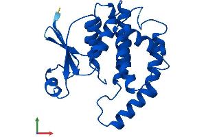Protein Structure (PS) image for Hematopoietic Prostaglandin D Synthase (HPGDS) (AA 1-199) protein (His tag) (ABIN7561499)