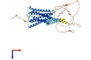 CHRM5 Protein (AA 1-532) (His tag)