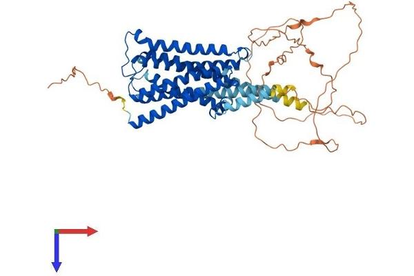CHRM5 Protein (AA 1-532) (His tag)