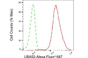 anti-Ubiquitin A-52 Residue Ribosomal Protein Fusion Product 1 (UBA52) antibody