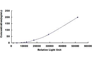 ELISA image for Fibronectin CLIA Kit (ABIN3155910) (Fibronectin CLIA Kit)