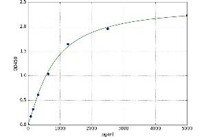 Actinin, alpha 4 (ACTN4) ELISA Kit