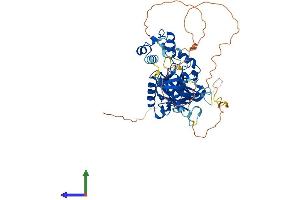 Protein Structure (PS) image for Upstream Binding Protein 1 (LBP-1a) (UBP1) (AA 1-540) protein (His tag) (ABIN7555960)