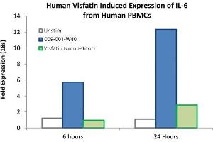 SDS-PAGE of Human Visfatin Recombinant Protein Bioactivity of Human Visfatin Recombinant Protein. (NAMPT Protein)