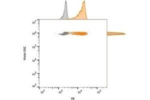 Flow cytometric analysis of bead-bound exosomes derived from MCF-7 cells. (CD63 Antikörper)