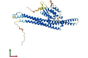 Protein Structure (PS) image for Sorting Nexin 8 (SNX8) (AA 1-459) protein (His tag) (ABIN7559302)