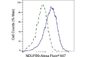 Validation of NDUFB9 knockdown using flow cytometry. (Rekombinanter NDUFB9 Antikörper)