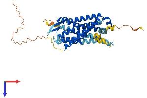 G Protein-Coupled Receptor 32 (GPR32) (AA 1-356) protein (His tag)