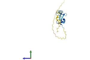 Protein Structure (PS) image for LIM Domain Containing 2 (LIMD2) (AA 1-127) protein (His tag) (ABIN7549027)