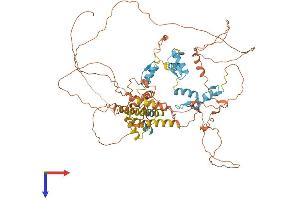ZBTB20 Protein (AA 1-741) (His tag)