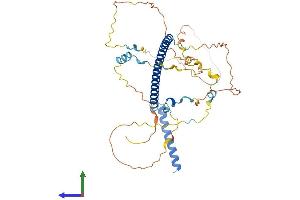 AlphaFold protein structure predicition of Mouse Recombinant Ska3 Protein, UniprotID Q8C263
