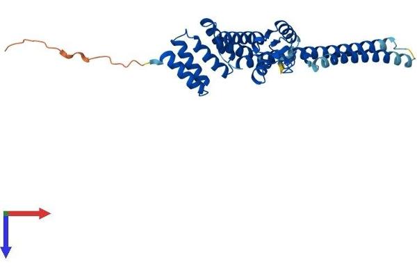 STUB1 Protein (AA 1-304) (His tag)