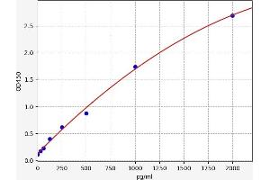 Actin, gamma 1 ELISA Kit