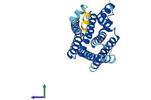 Protein Structure (PS) image for Anterior Pharynx Defective 1 Homolog B (Aph1b) (AA 1-257) protein (His tag) (ABIN7559187)