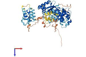 FASTK Protein (AA 1-549) (His tag)