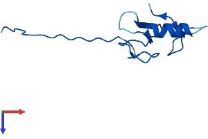 ANAPC11 Protein (AA 1-84) (Fc Tag)