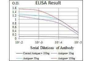 ELISA image for anti-CCAAT/enhancer Binding Protein (C/EBP), alpha (CEBPA) antibody (ABIN1106664)