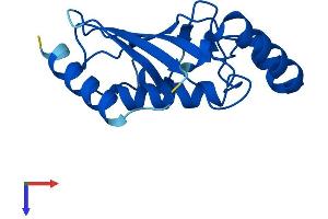UBE2L3 Protein (AA 1-154) (His tag)