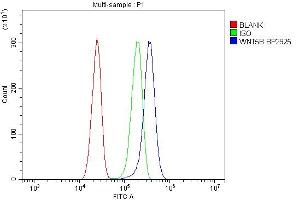 Flow Cytometry analysis of U87 cells using anti-Wnt5b antibody (ABIN7600323).