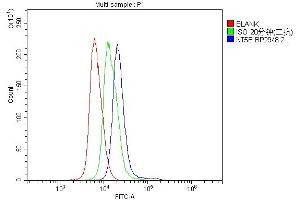 Flow Cytometry analysis of mouse spleen tissues using anti-CD73/Nt5e antibody (ABIN7601367).