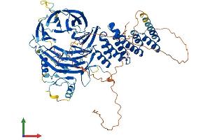 Protein Structure (PS) image for WD Repeat Containing Planar Cell Polarity Effector (WDPCP) (AA 1-746) protein (His tag) (ABIN7547872)
