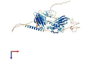 MFRP Protein (AA 1-584) (His tag)
