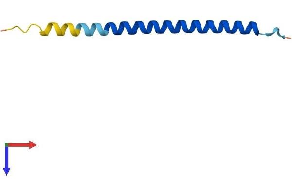 CCDC23 Protein (AA 1-66) (Fc Tag)