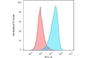 Flow Cytometric Analysis of paraformaldehyde-fixed Raji cells using CD45RB Rabbit Recombinant Monoclonal Antibody (PTPRC/2877R) followed by Goat anti-rabbitIgG-CF488 (Blue); Isotype Control (Red). (Rekombinanter CD45 Antikörper)