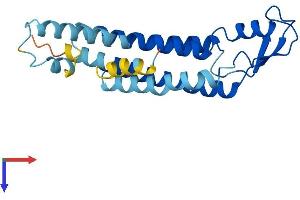 GJB2 Protein (AA 1-226) (His tag)