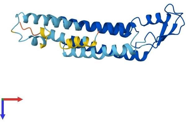 GJB2 Protein (AA 1-226) (His tag)
