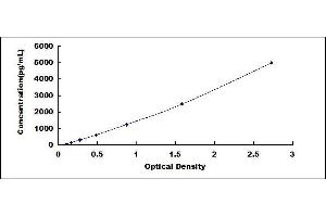 ELISA image for C-Reactive Protein (CRP) ELISA Kit (ABIN415975)