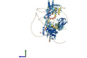 Protein Structure (PS) image for Lysine (K)-Specific Demethylase 5C (KDM5C) (AA 1-1554) protein (His tag) (ABIN7563231)