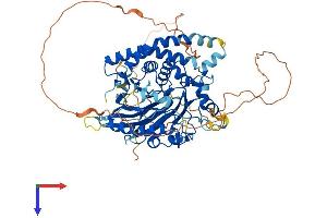 SMPD3 Protein (AA 1-655) (His tag)