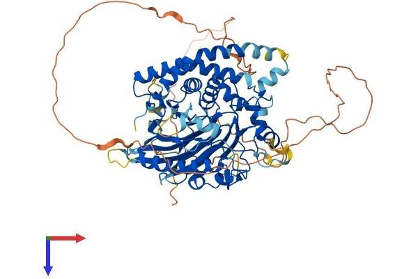 SMPD3 Protein (AA 1-655) (His tag)