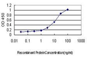Detection limit for recombinant GST tagged NLK is approximately 0. (Nemo-Like Kinase Antikörper  (AA 416-515))