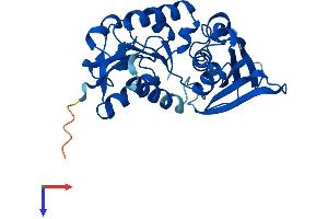 ASPDH Protein (AA 1-287) (His tag)