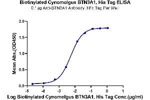 ELISA image for Butyrophilin, Subfamily 3, Member A1 (BTN3A1) (AA 1-219) protein (His-Avi Tag,Biotin) (ABIN7274002)