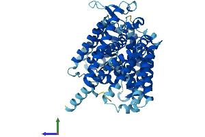 Protein Structure (PS) image for Hedgehog Acyltransferase-Like (HHATL) (AA 1-503) protein (His tag) (ABIN7560884)